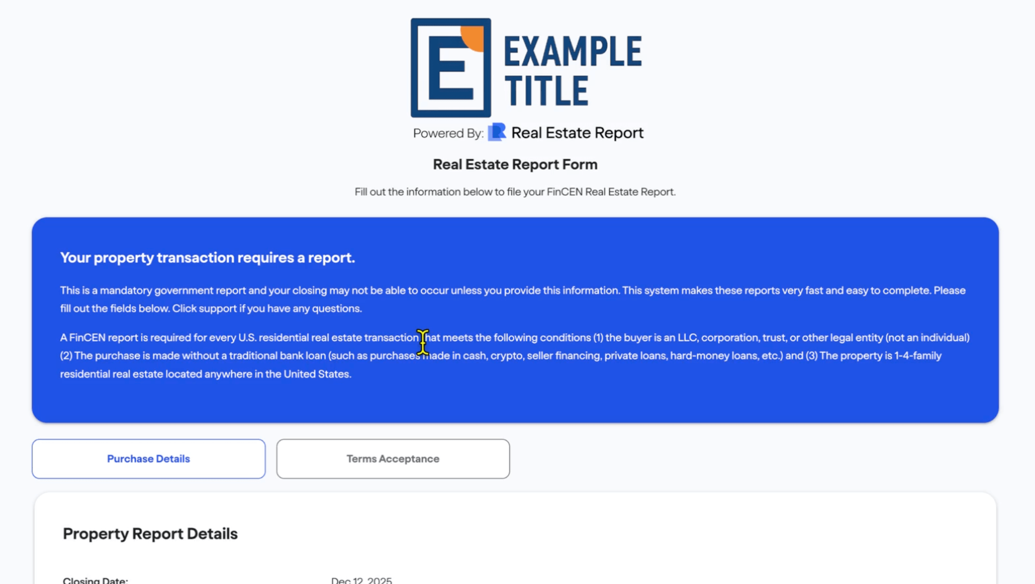 FinCEN real estate report A real estate report form webpage with a blue notification bar about required information, options to purchase details or accept terms, and a section for property report details. The page is branded Example Title.